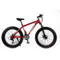 2019 china hot sale fat wheel motorbike/fat bike black/fat tire mountain bike reviews